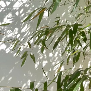 用户封面
